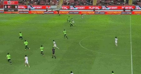 专业IM体育官网服务