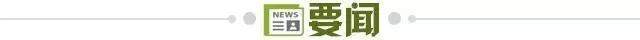 IM体育案例展示