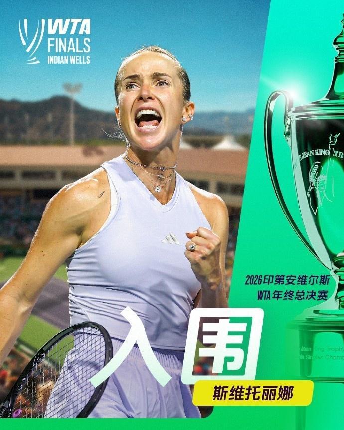 IM体育官网产品图片